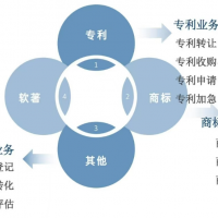 专利申请快速授权